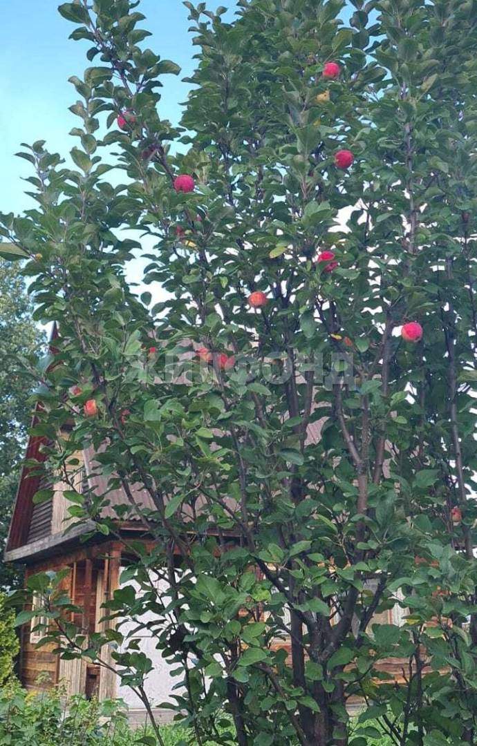 Продам земельный участок 551 м.кв.