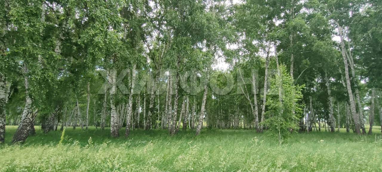 Продам земельный участок 3000 м.кв.