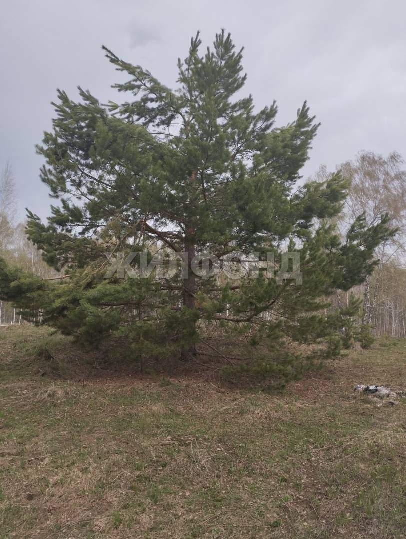 Продам земельный участок 800 м.кв.