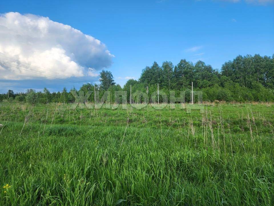 Продам земельный участок 10000 м.кв.