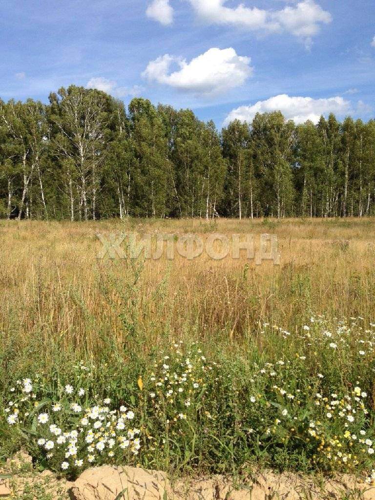 Продам земельный участок 2370 м.кв.