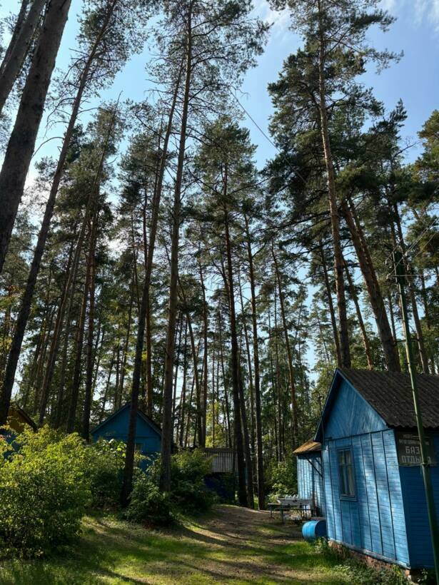 Продам торговое помещение 527.5 м.кв.