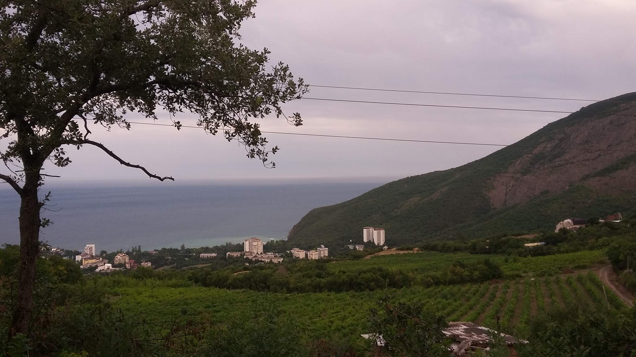 Погода в селе крым. Село лавровое Алушта. Поселок лавровое Крым. Крым Респ Алушта городской округ лавровое село. Село лавровое Алуштинский округ.