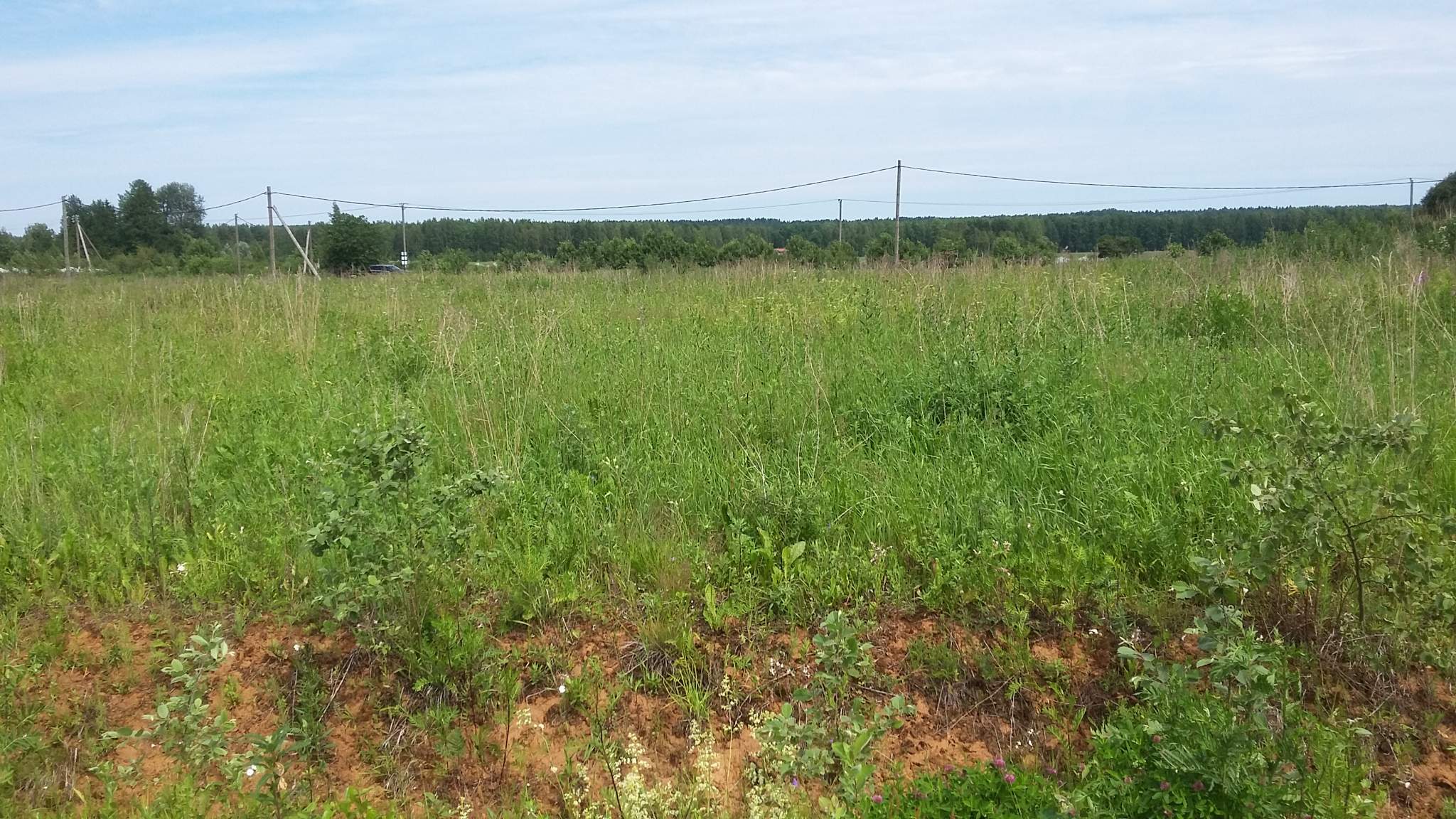 Продажа участка, Приозерский, ДНП Удальцовские поместья территория