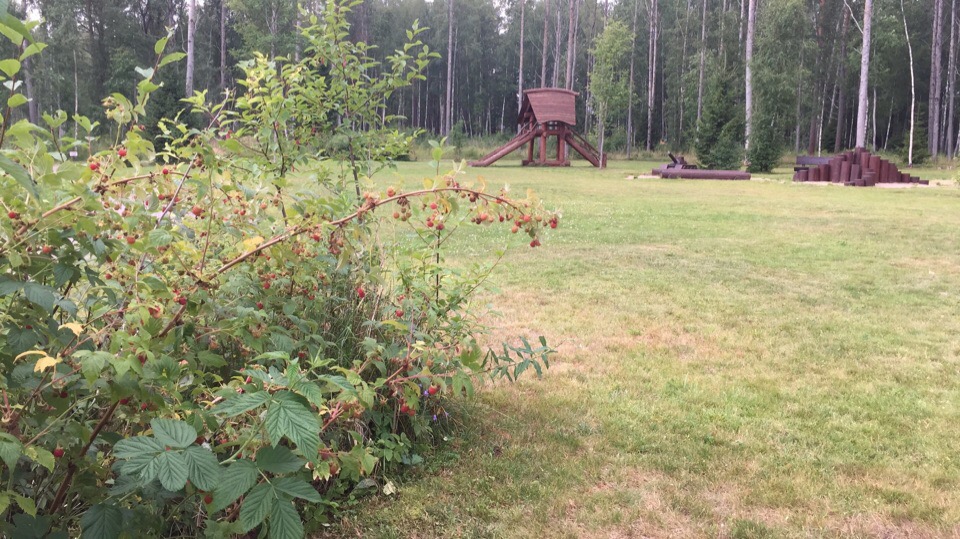 Продажа участка, Приозерский, ДНП Удальцовские поместья территория