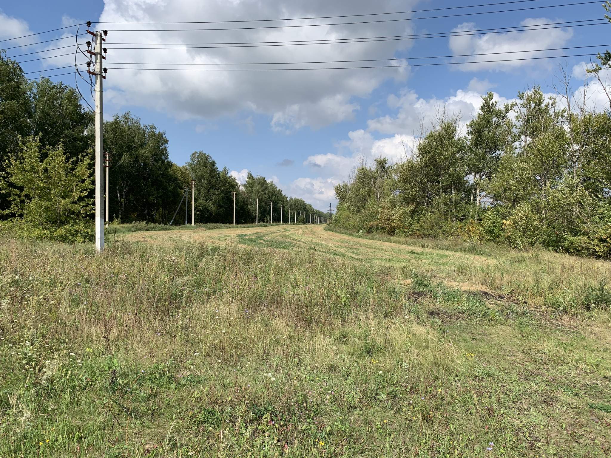 Продажа коммерческой недвижимости, Частая Дубрава, Придорожная улица