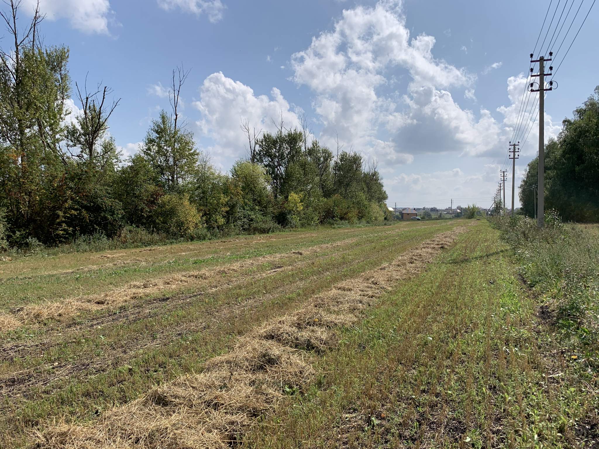 Продажа коммерческой недвижимости, Частая Дубрава, Придорожная улица