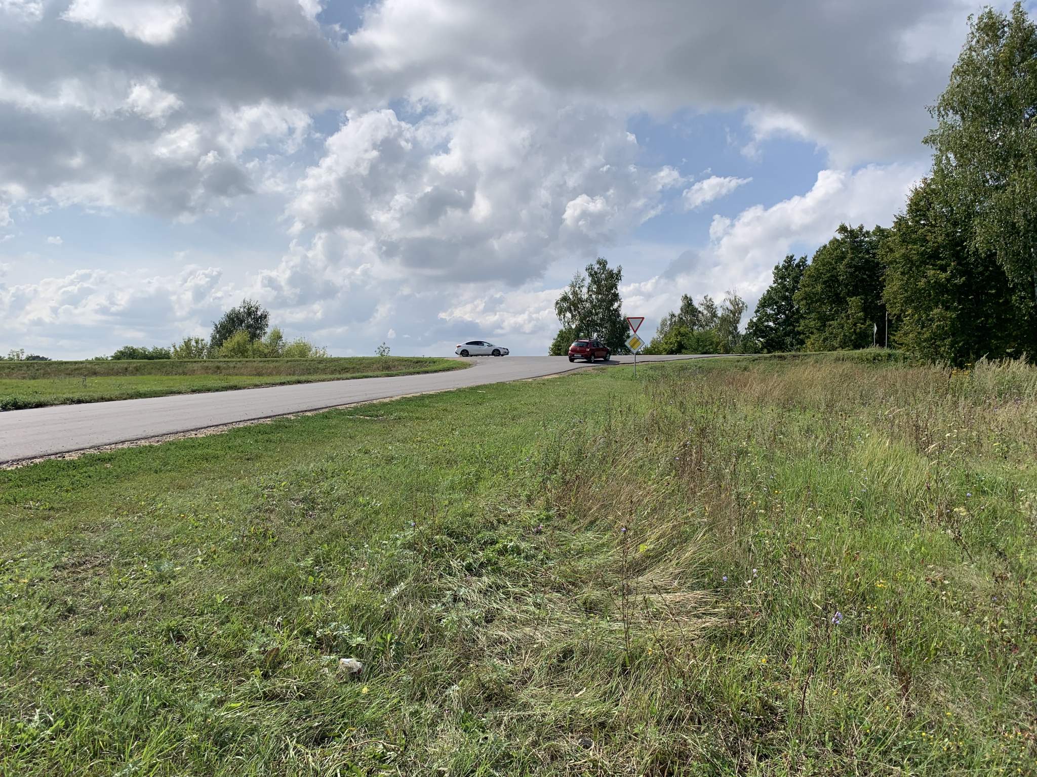 Продажа коммерческой недвижимости, Частая Дубрава, Придорожная улица