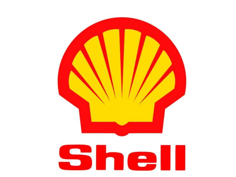 Google shell