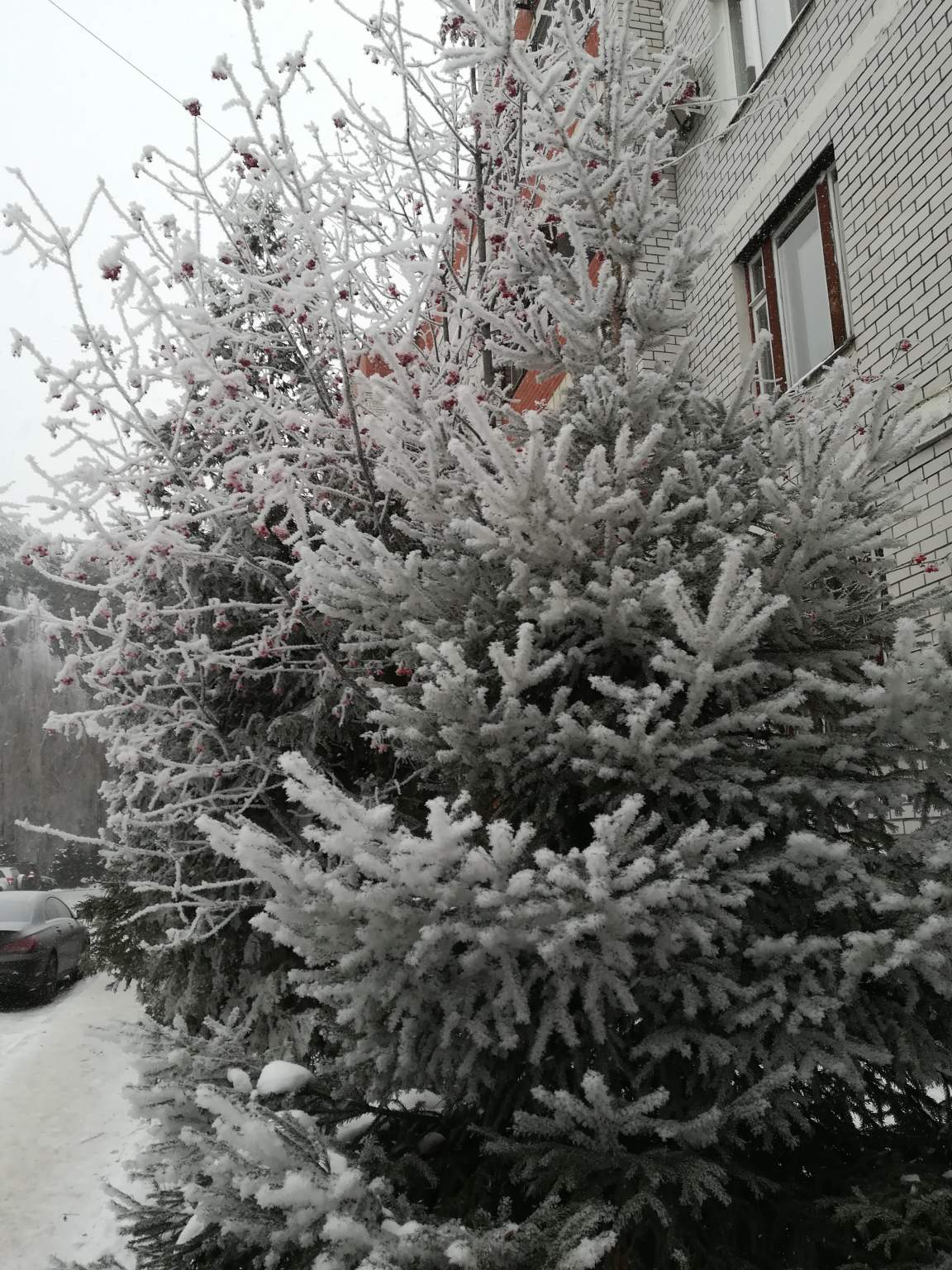 Продажа 3-комнатной квартиры, Казань, Халезова, д.23 Продажа 3-комнатной квартиры, Казань, Халезова, д.23