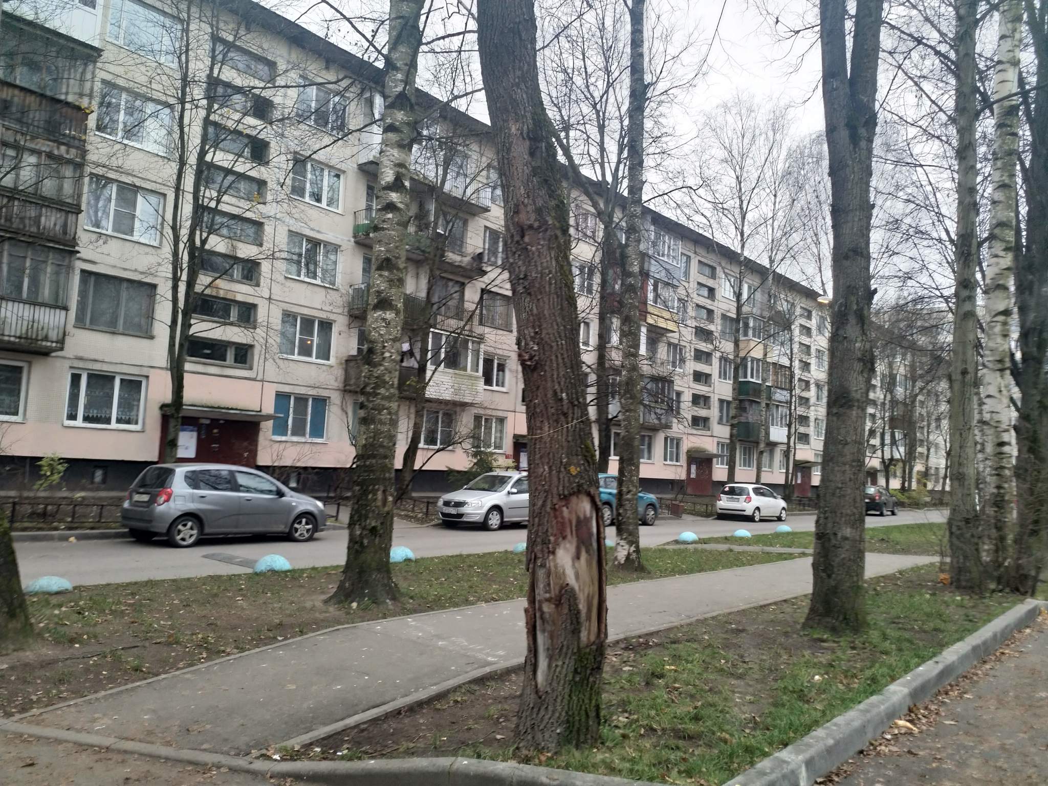 Демьяна Бедного, д.14к2 Демьяна Бедного, д.14к2