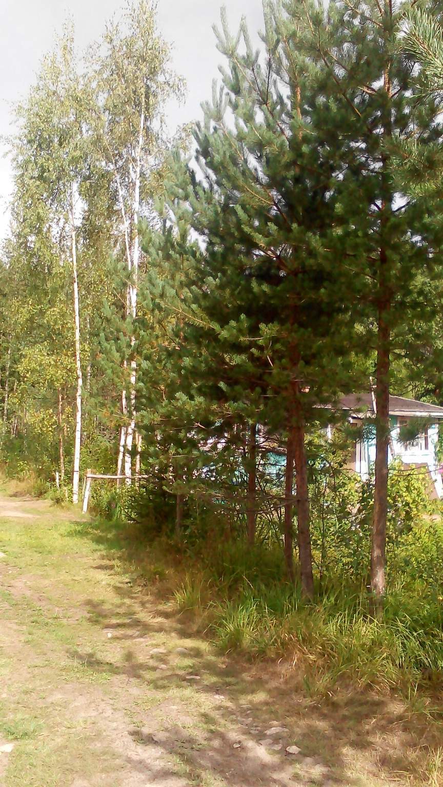 Продажа участка, Мичуринское