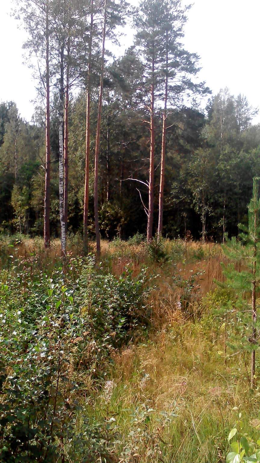 Продажа участка, Мичуринское