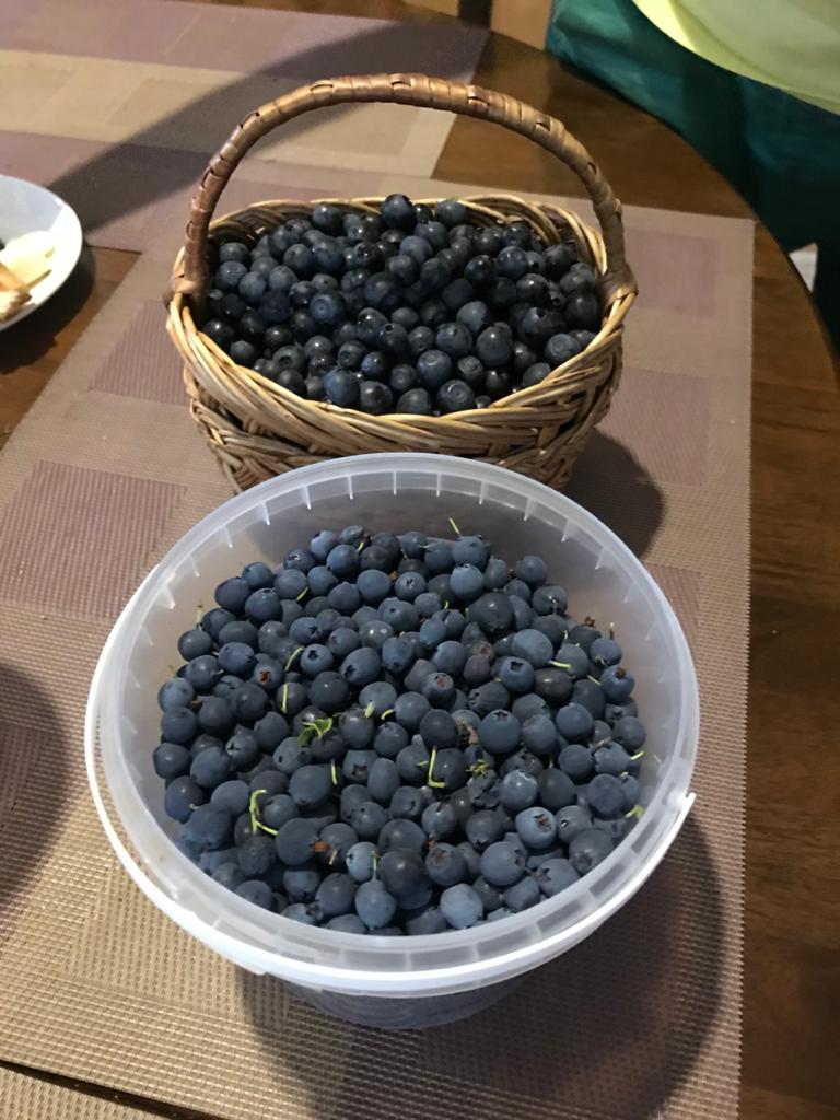 Продажа дома, 81м <sup>2</sup>, 5 сот., Дунай, Электропульт,  д.532Б