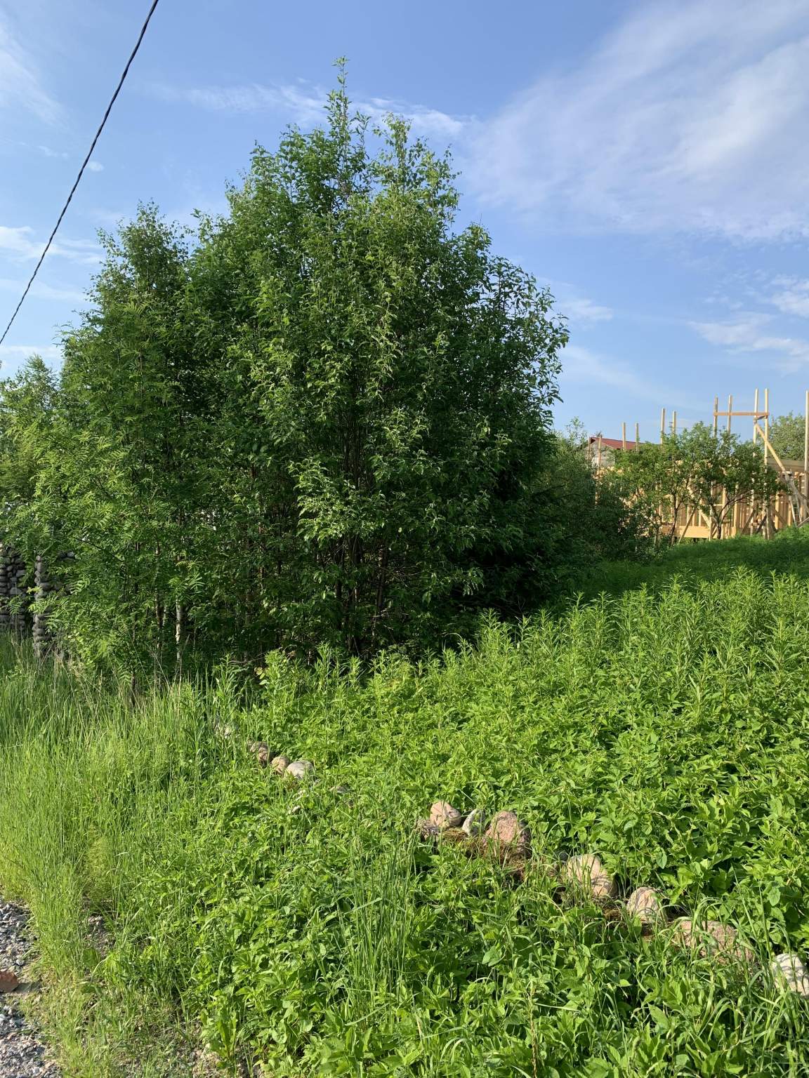 Продажа участка, Ленинградская