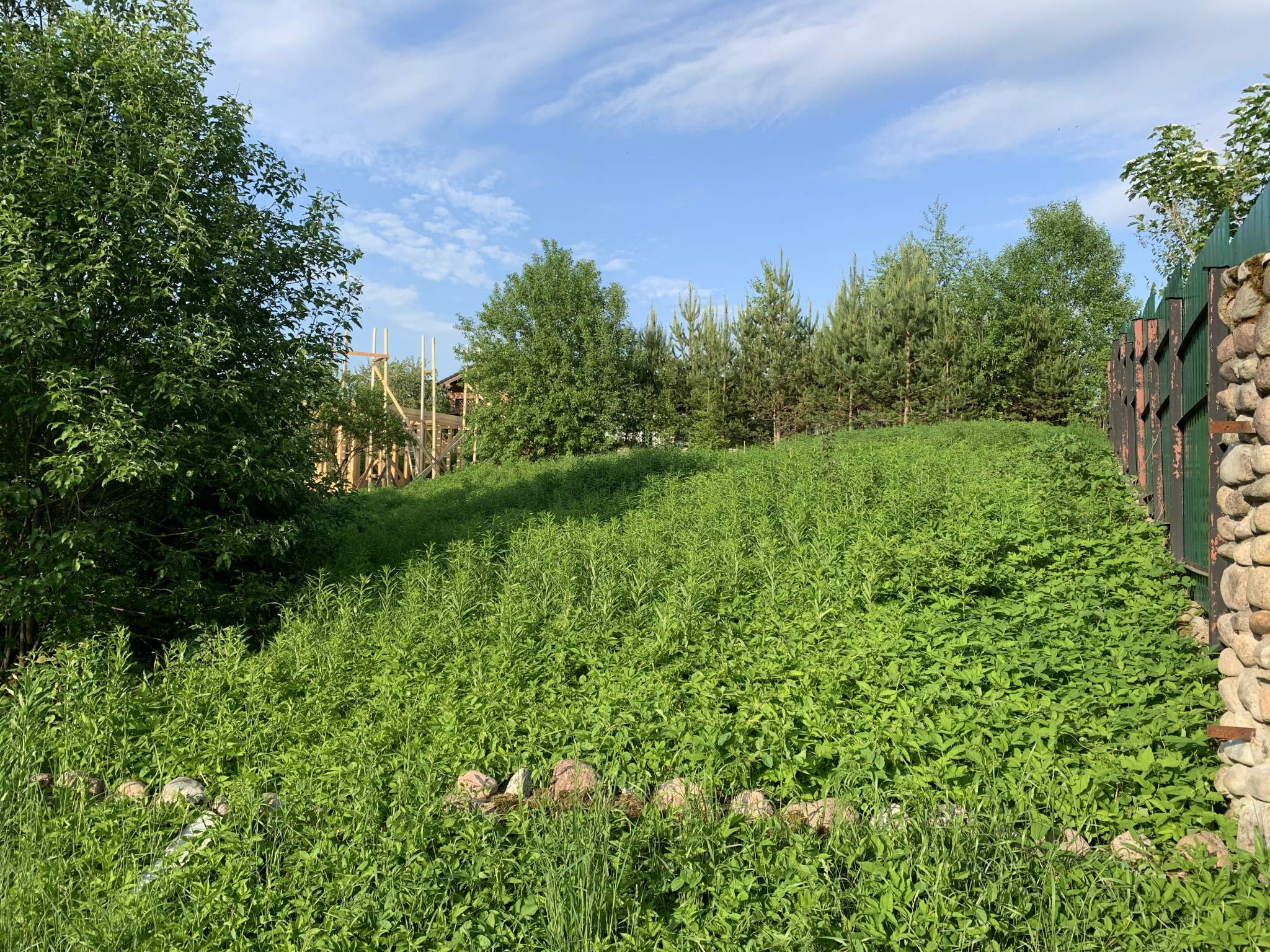 Продажа участка, Ленинградская