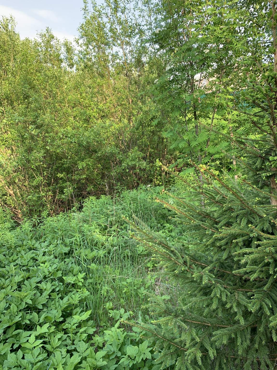 Продажа участка, Ленинградская