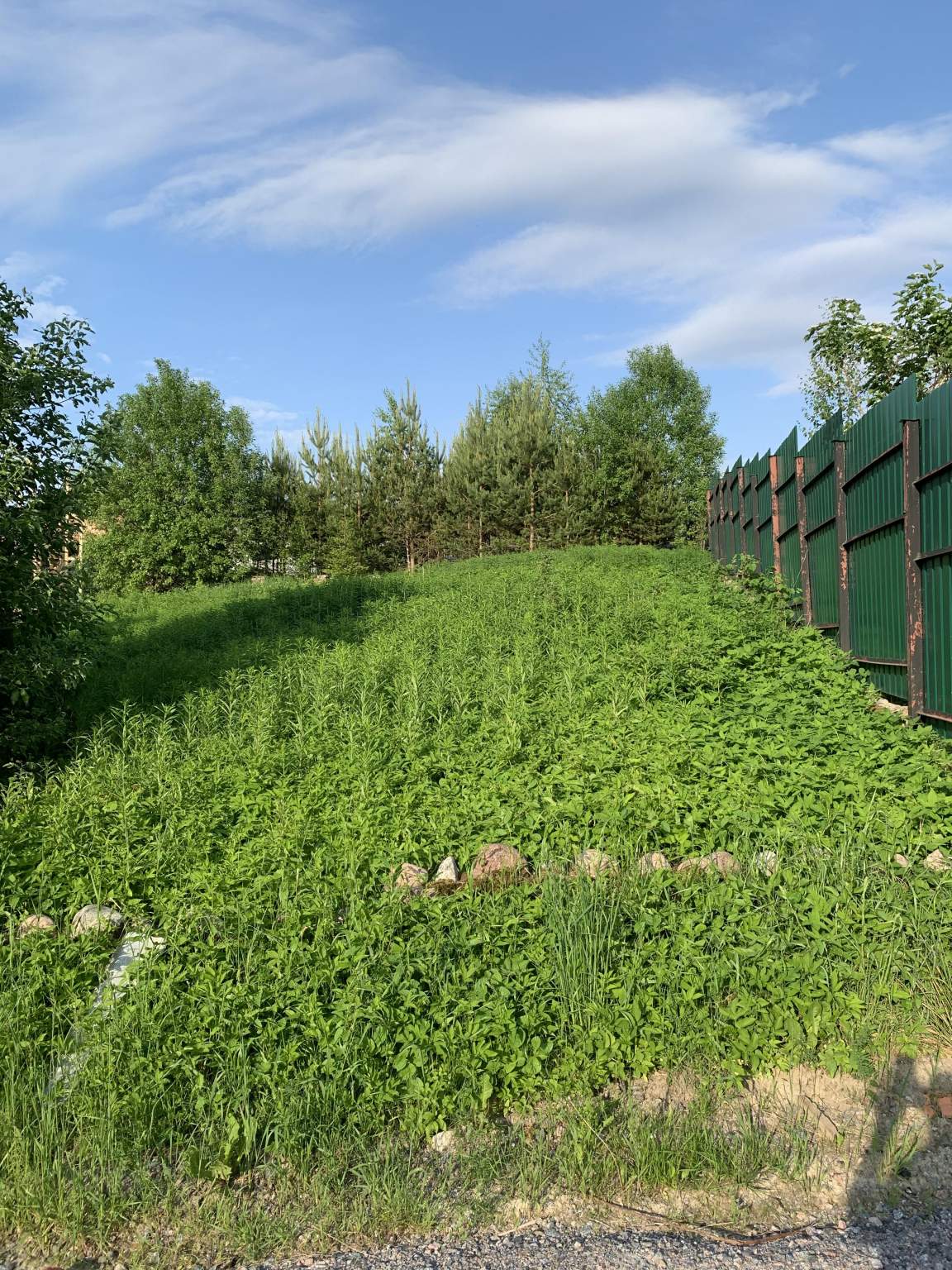 Продажа участка, Ленинградская