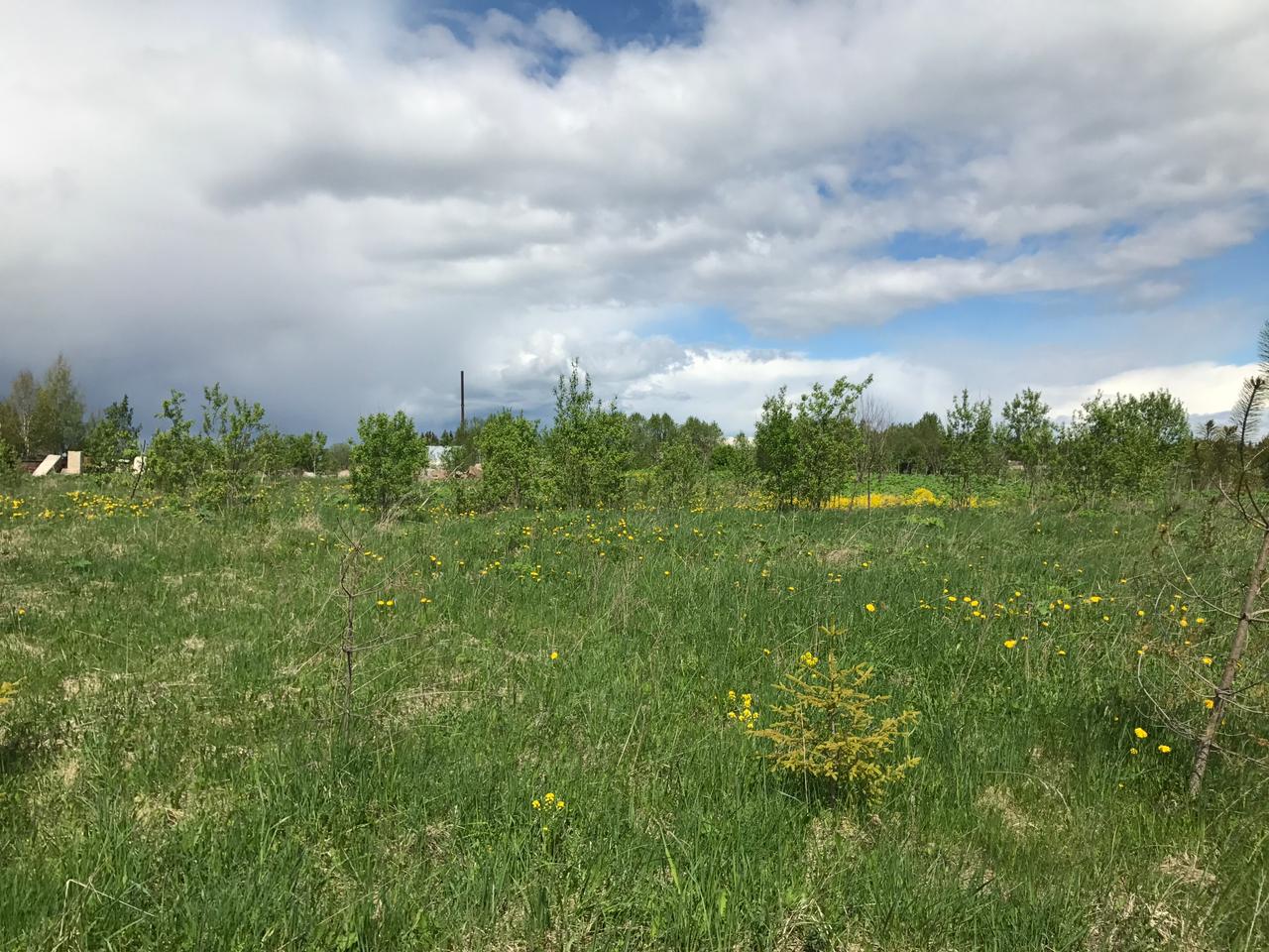 Продажа участка, Оредеж, Сазанова