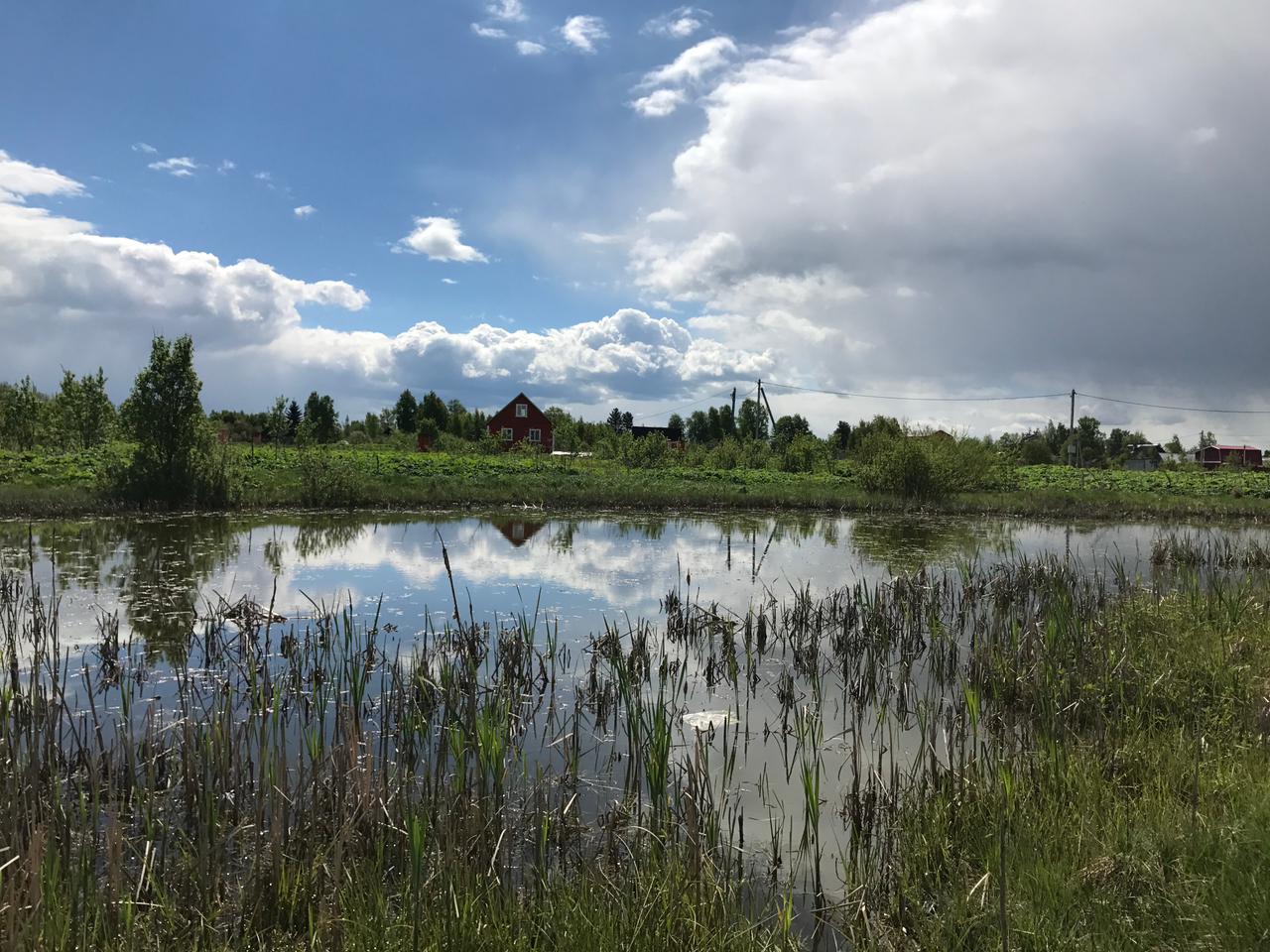 Продажа участка, Оредеж, Сазанова