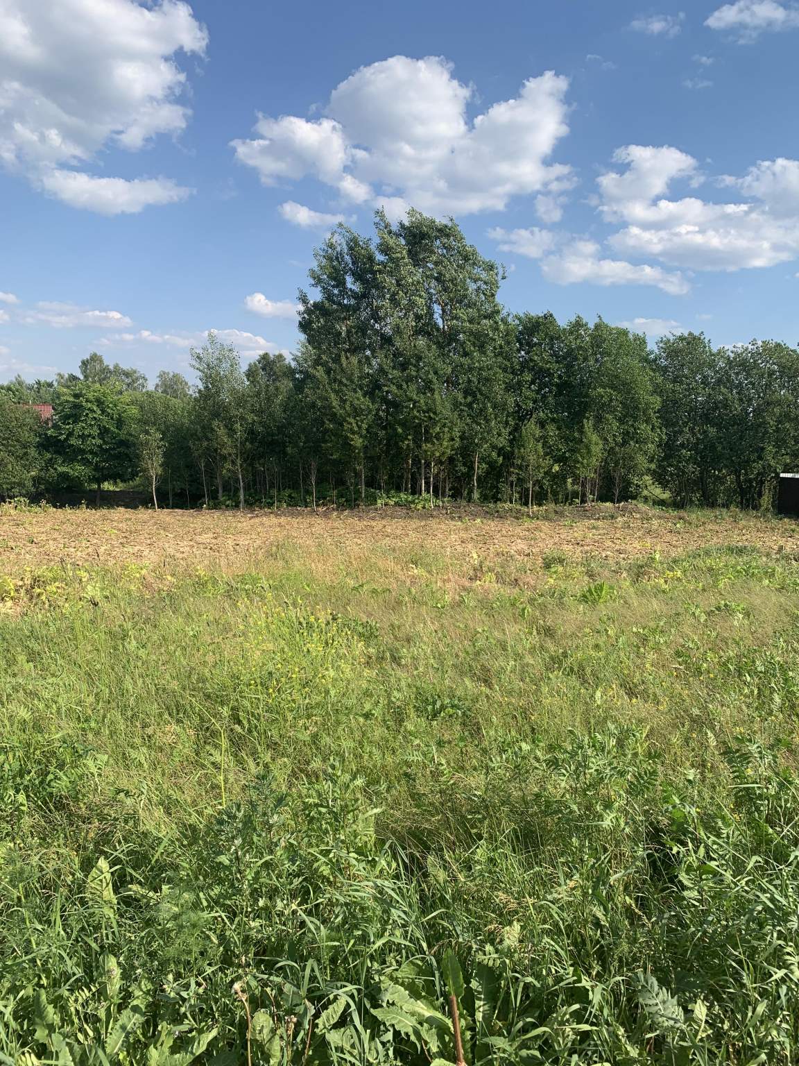 Продажа участка, Большое Сергелево, Андреевский