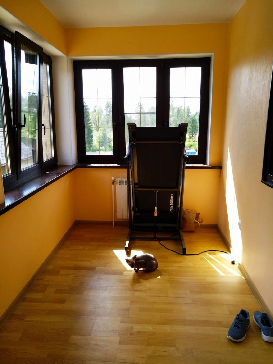 Продажа дома, 183м <sup>2</sup>, 11 сот., Мертуть, Аллейная