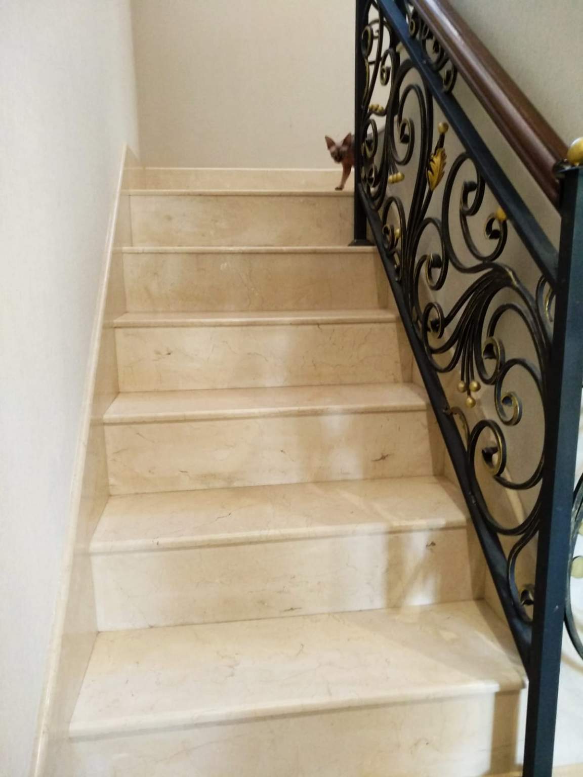 Продажа дома, 183м <sup>2</sup>, 11 сот., Мертуть, Аллейная