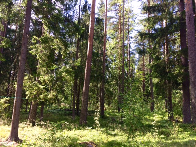 Продажа участка, Ленинградская