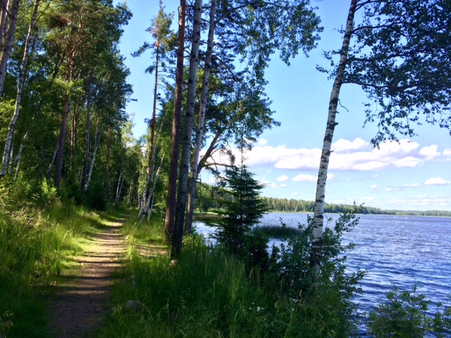 Продажа участка, Ленинградская