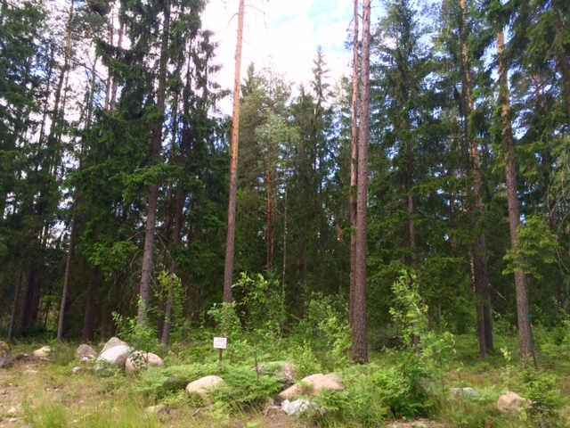 Продажа участка, Ленинградская