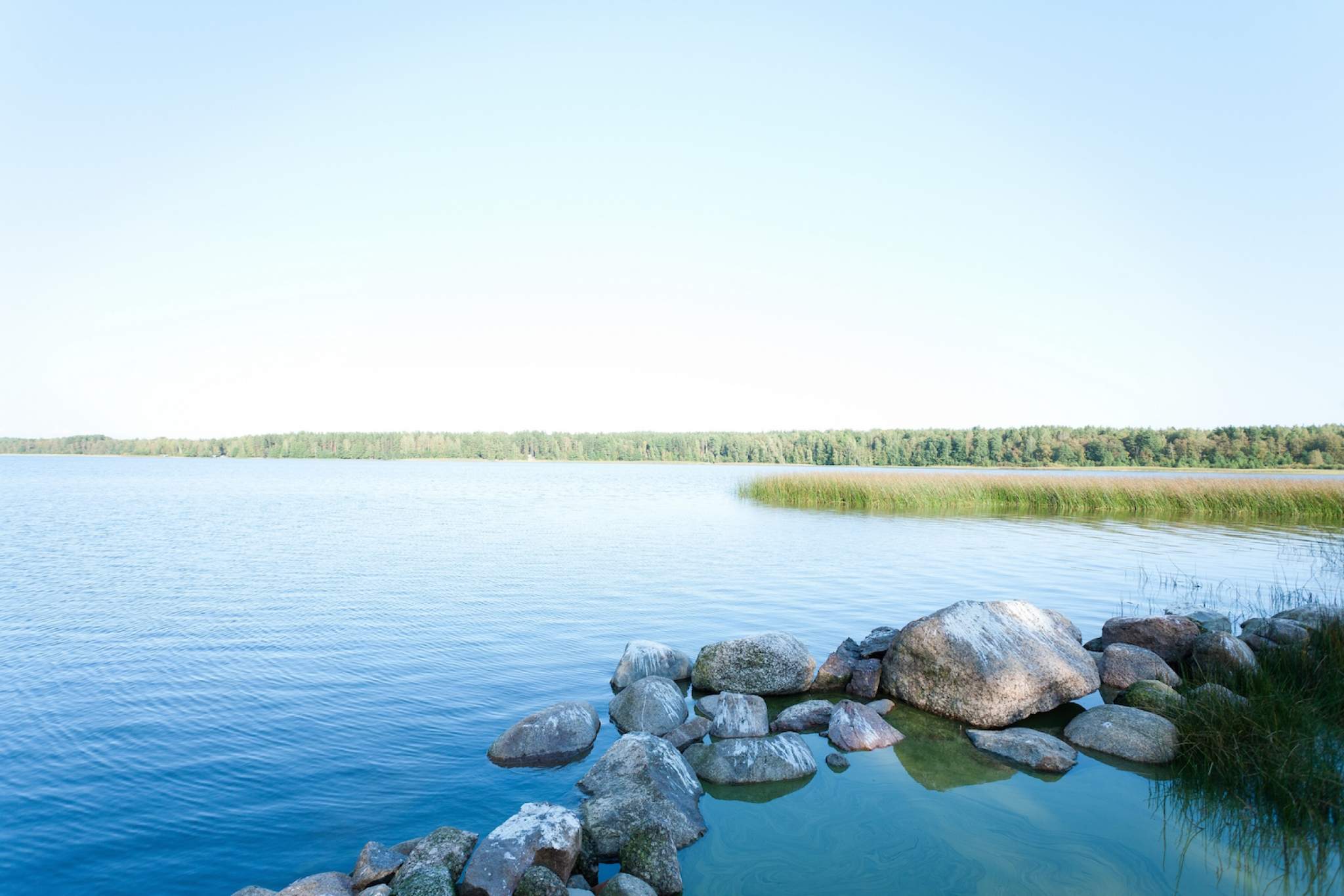 Продажа участка, Ленинградская