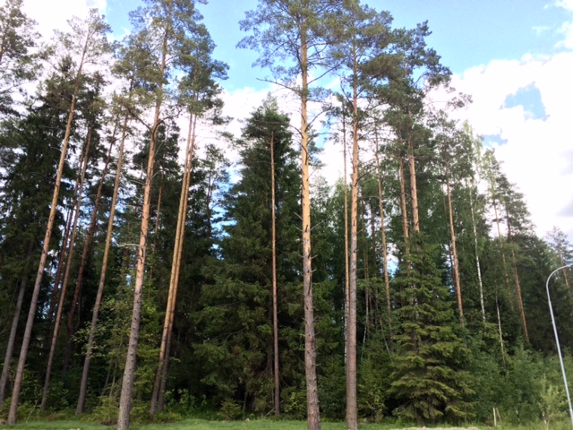 Продажа участка, Ленинградская