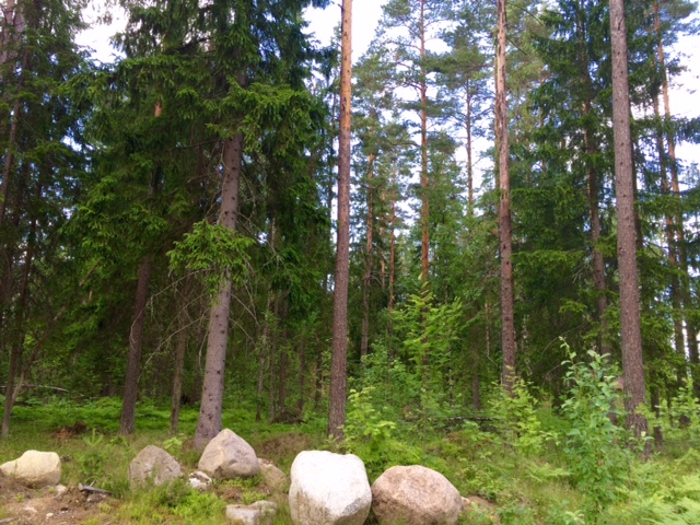 Продажа участка, Ленинградская