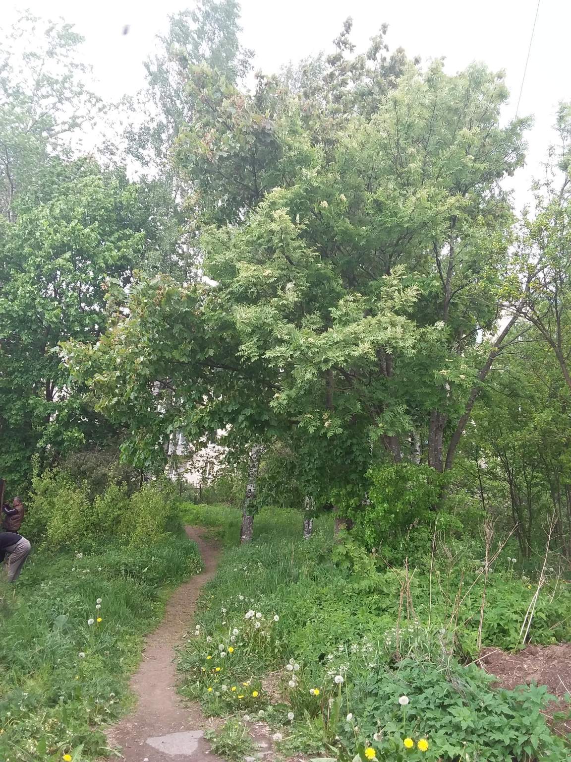 Продажа участка, Озера, 3-я Нагорная