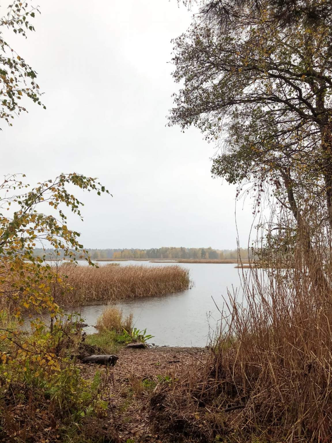 Продажа участка, Ленинградская