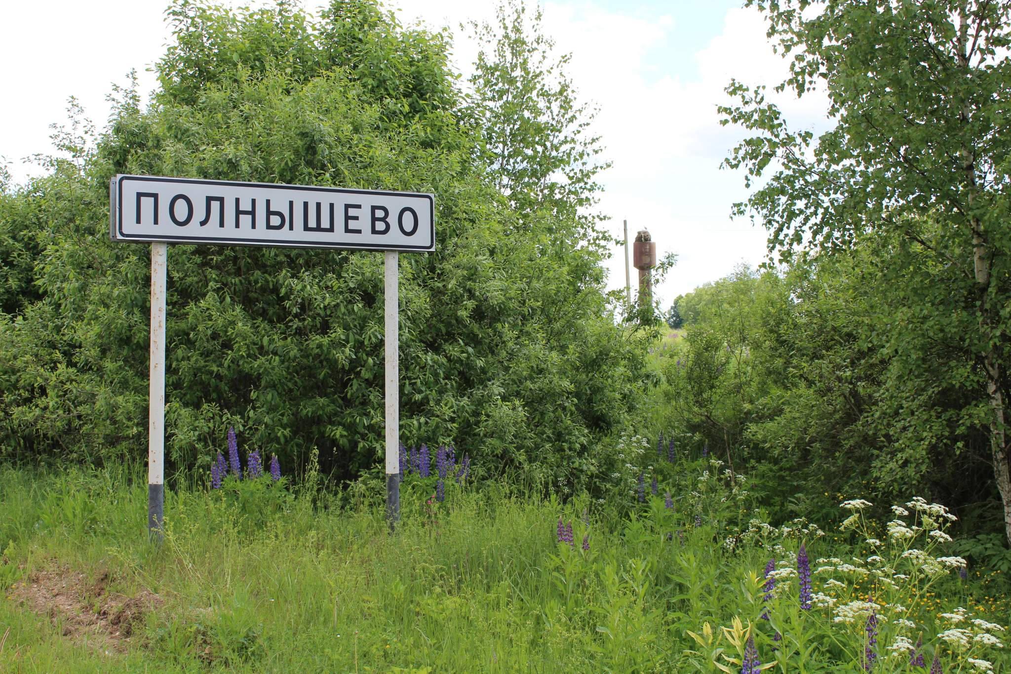 Продажа коммерческой недвижимости, Полнышево