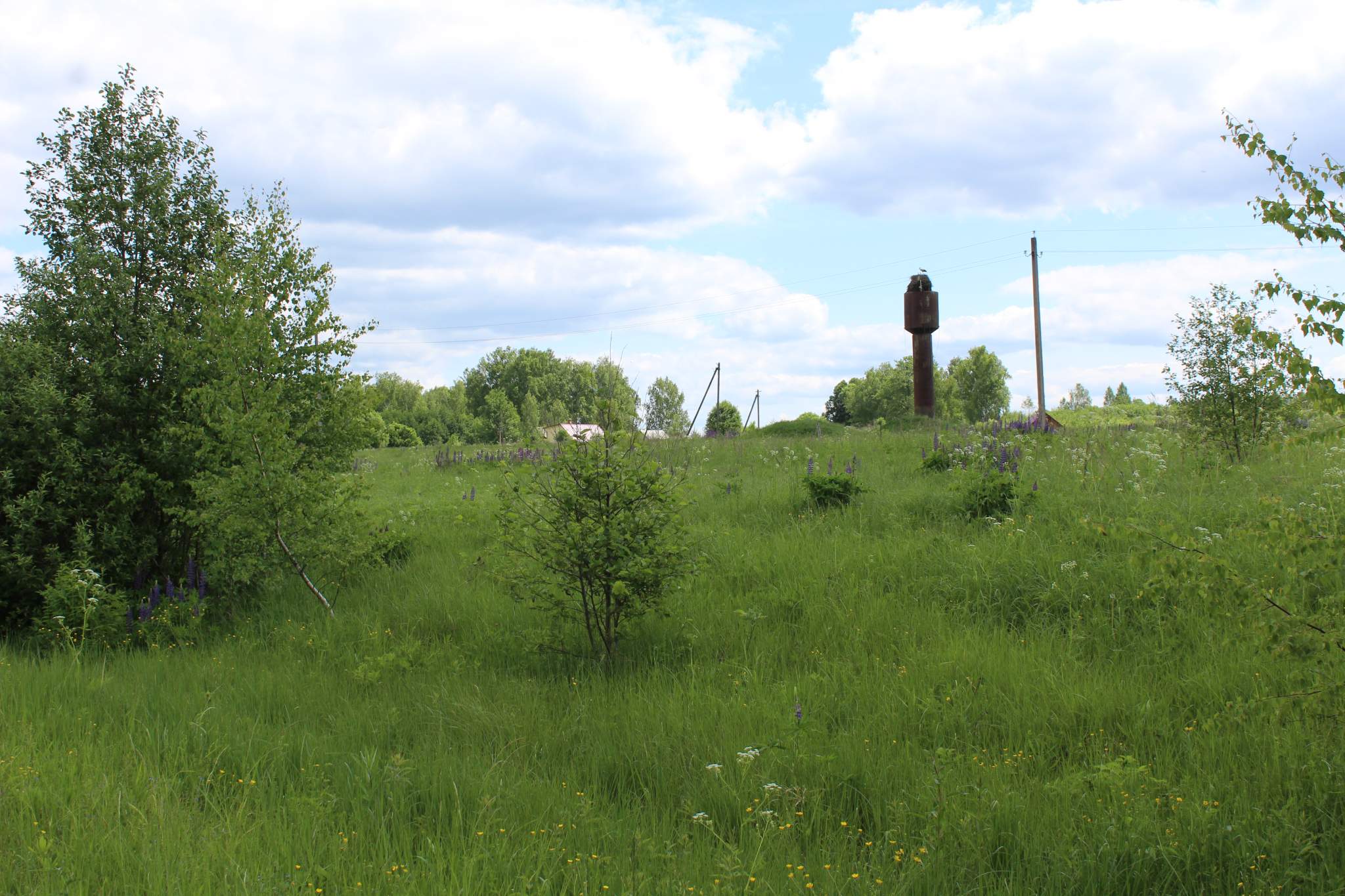 Продажа коммерческой недвижимости, Полнышево