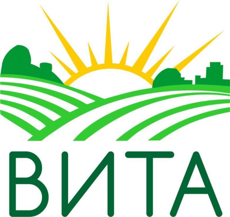 Компания витое