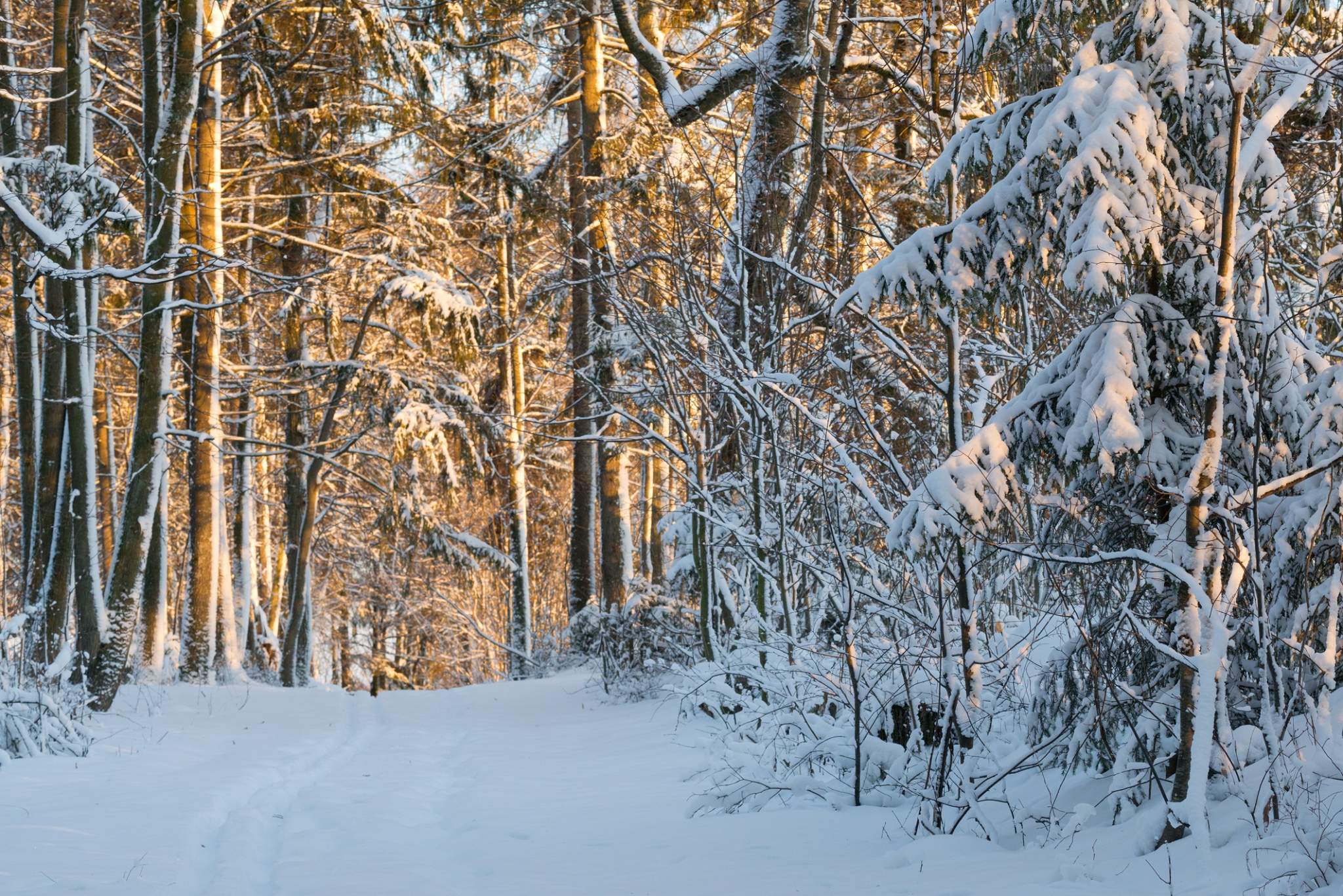 Продажа участка, Московская