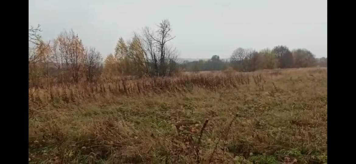 Продажа участка, Пречистино