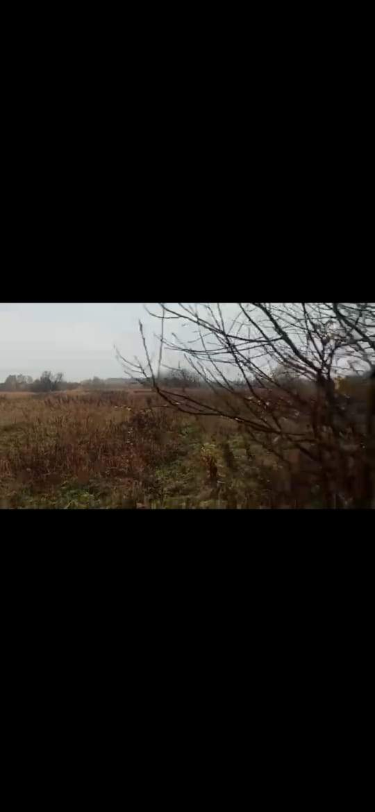 Продажа участка, Пречистино