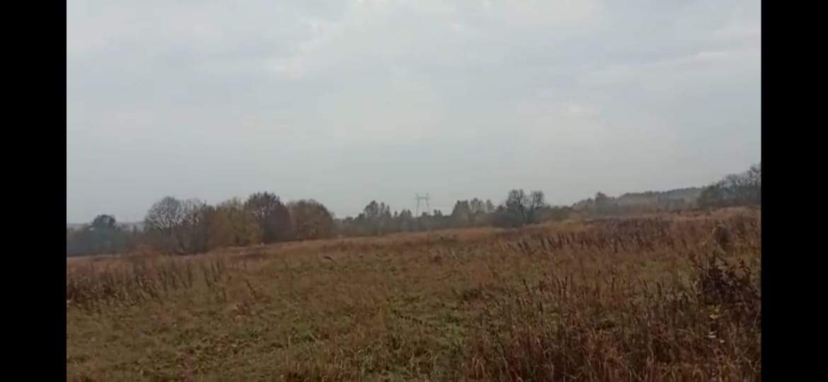 Продажа участка, Пречистино