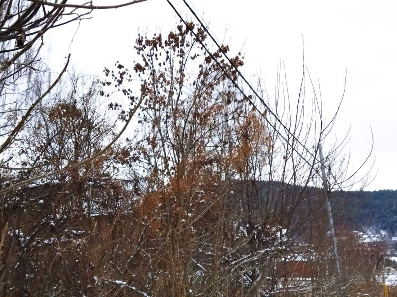 Продажа участка, Кисловодск, Прудная улица