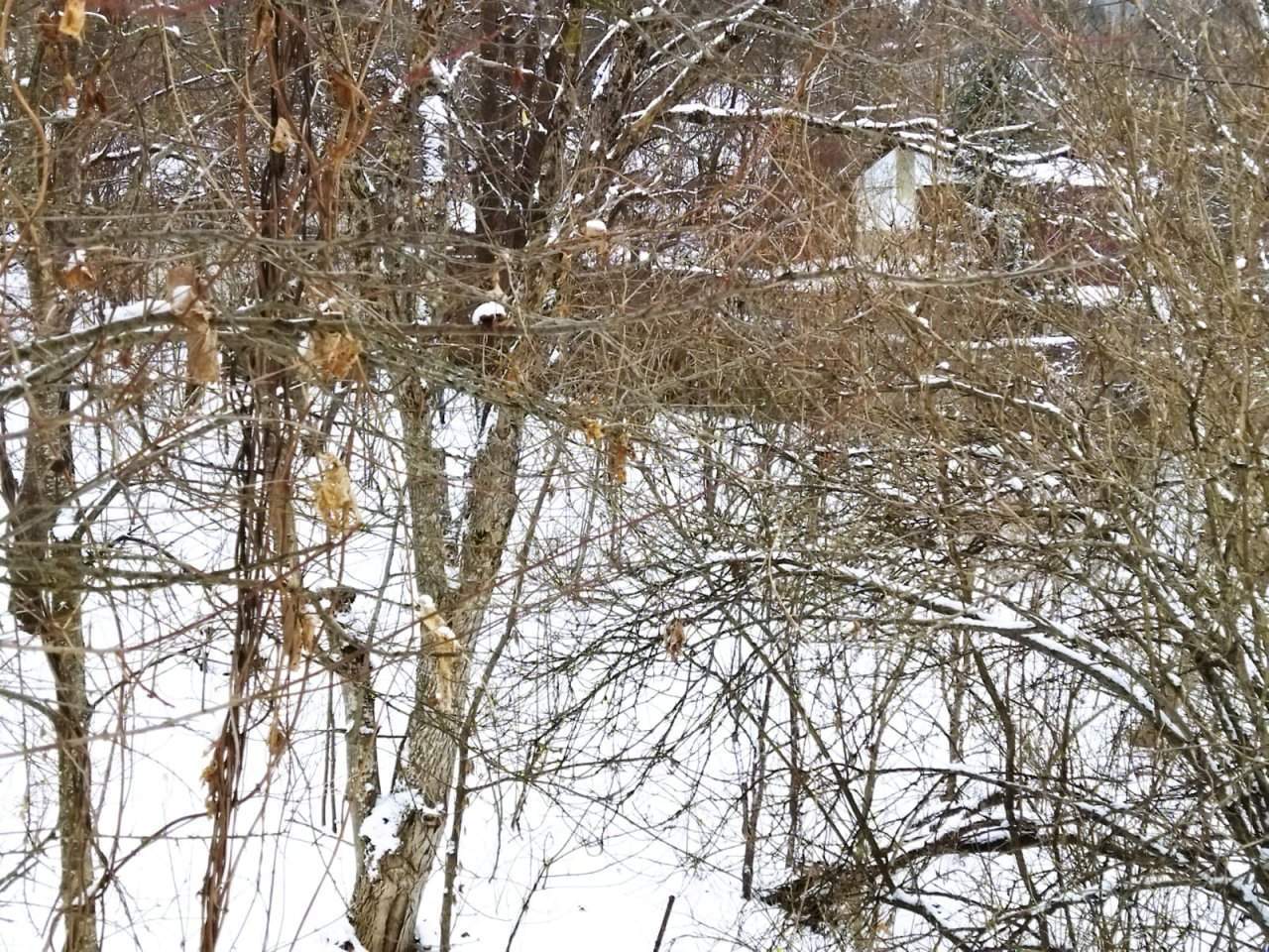 Продажа участка, Кисловодск, Прудная улица