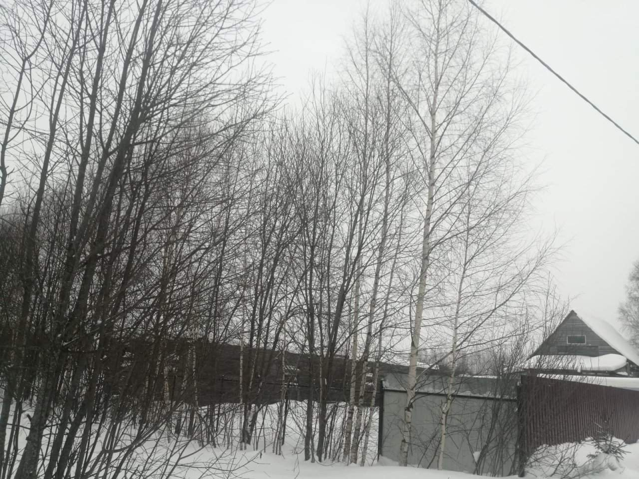 Продажа участка, Вески, Зеленая улица