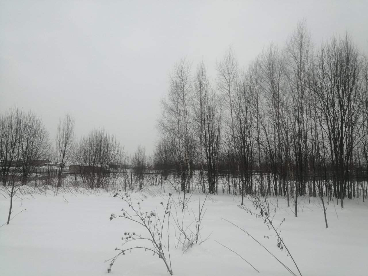 Продажа участка, Вески, Зеленая улица