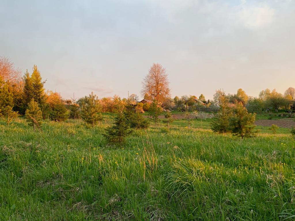 Продажа участка, Московская