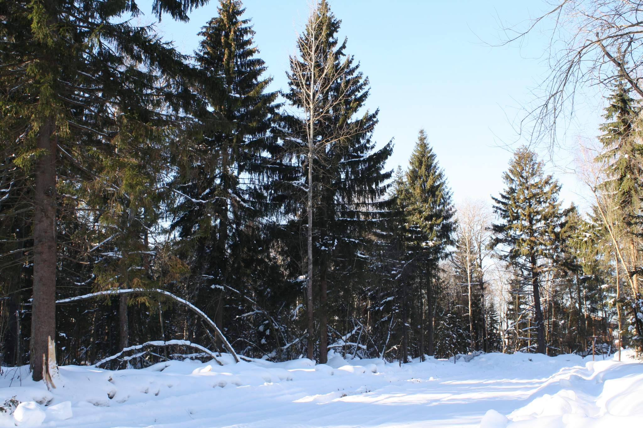 Продажа участка, Московская