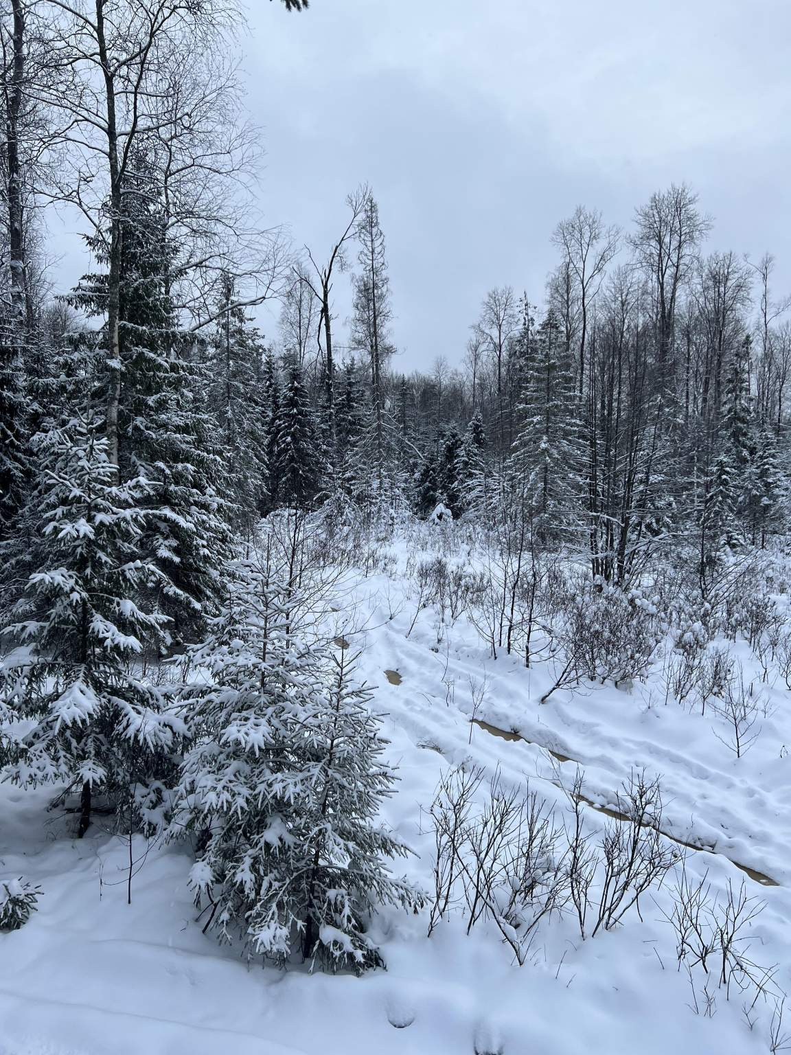 Продажа участка, Московская