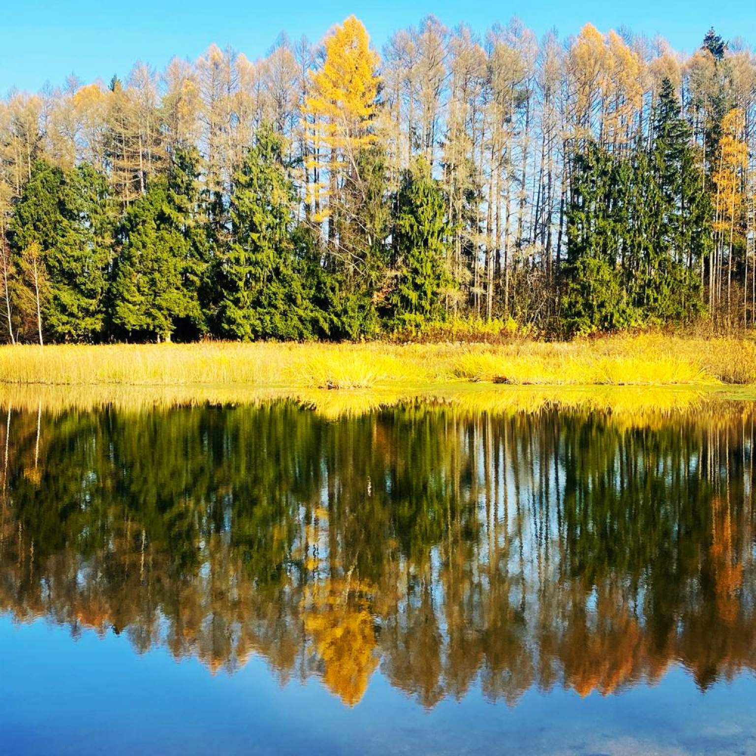 Продажа участка, Московская